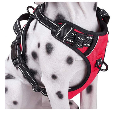 Chest strap for medium and large dogs