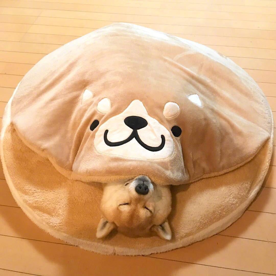 Doghouse Corgi Teddy Plush Dorayaki Sleeping Mat for Cats and Dogs