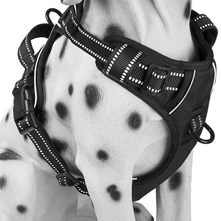 Chest strap for medium and large dogs