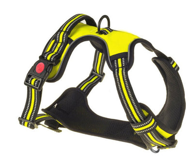 Chest strap for medium and large dogs